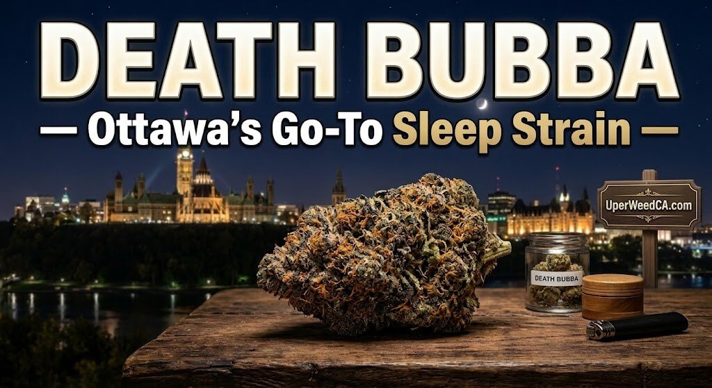 Death Bubba — Ottawa's Go-To Sleep Strain