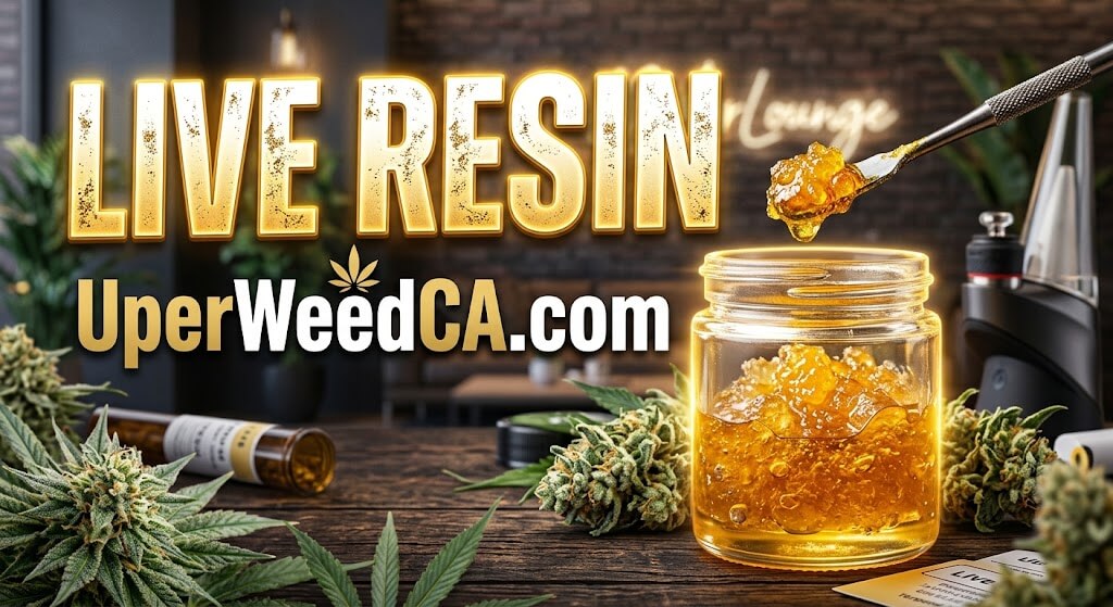 Live Resin | Uper Weed