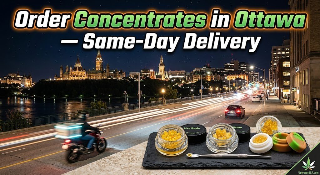 Order Concentrates in Ottawa — Same-Day Delivery | Uper Weed
