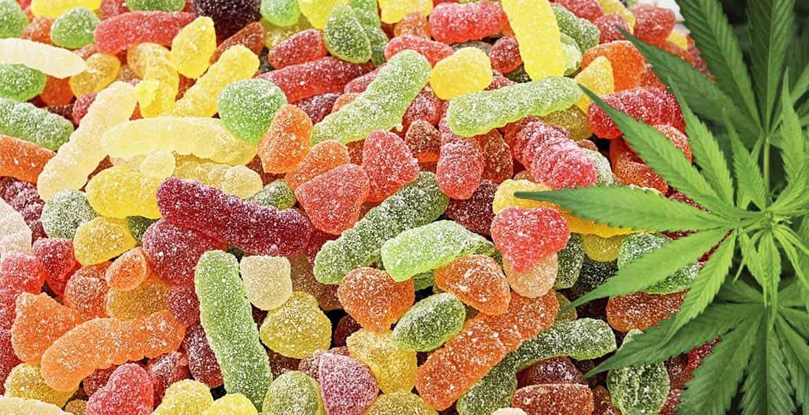 Questions — Cannabis Edibles and THC Gummies