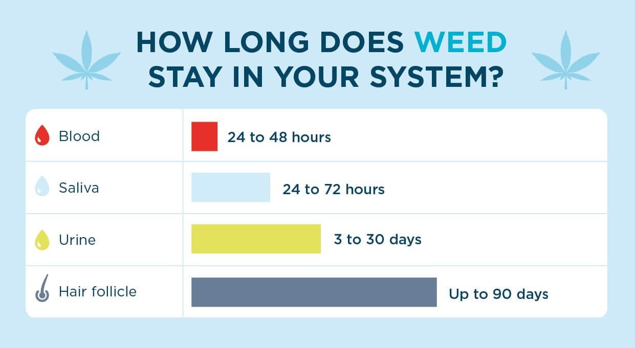 Factors That Affect How Long Weed Stays in Your System | Uper Weed