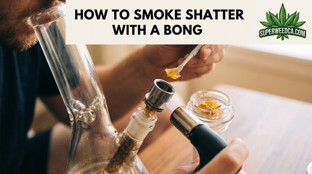 Dosing Shatter — How Much Should You Use step by step