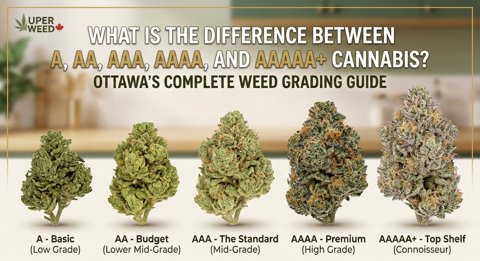 Cannabis grades explained Ottawa — difference between AA AAA AAAA AAAAA+ weed | Uper Weed delivery