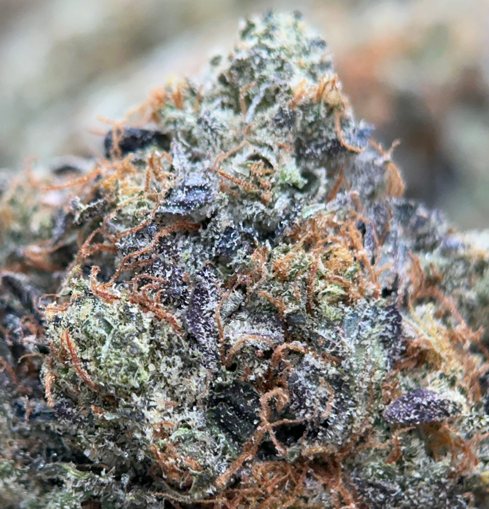 What Makes UPer Weed the Right Choice for Your First Order