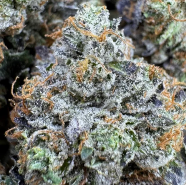 Cannabis Terpenes