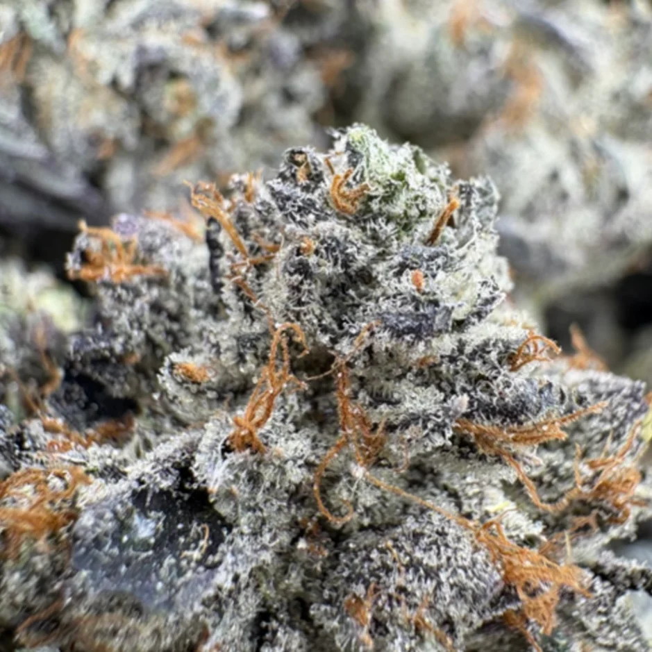 Cannabis store in Ottawa
