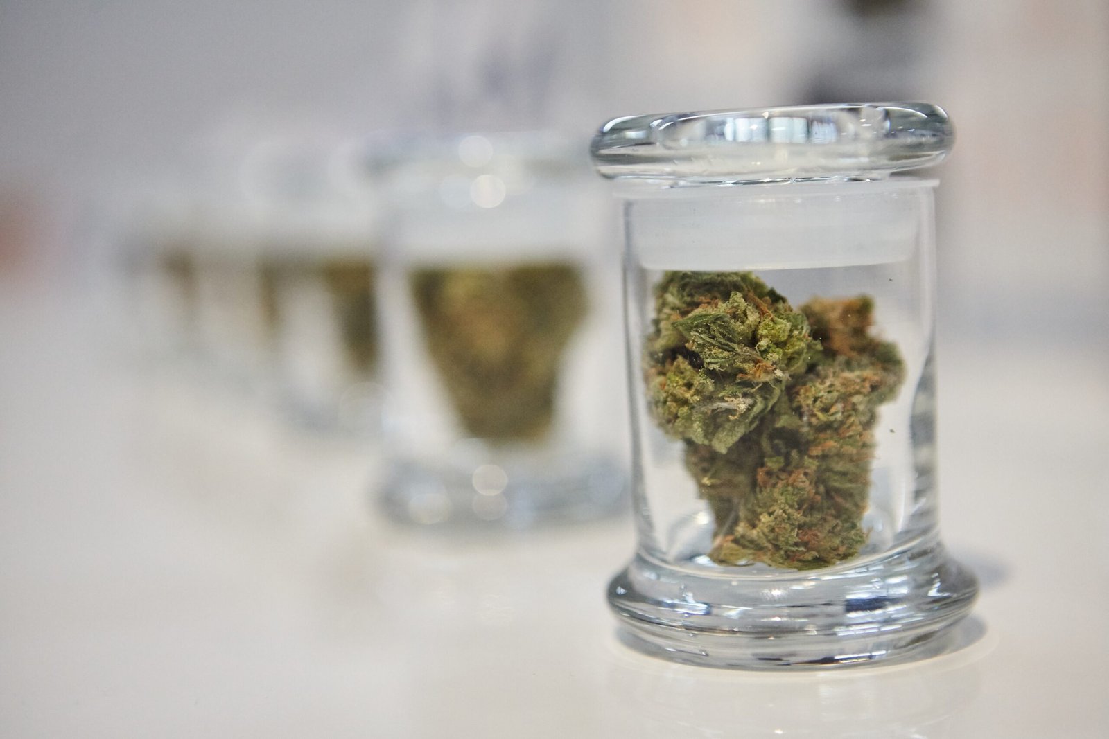 What Are the Best Hybrid Strains to Buy Online in Canada Right Now?
