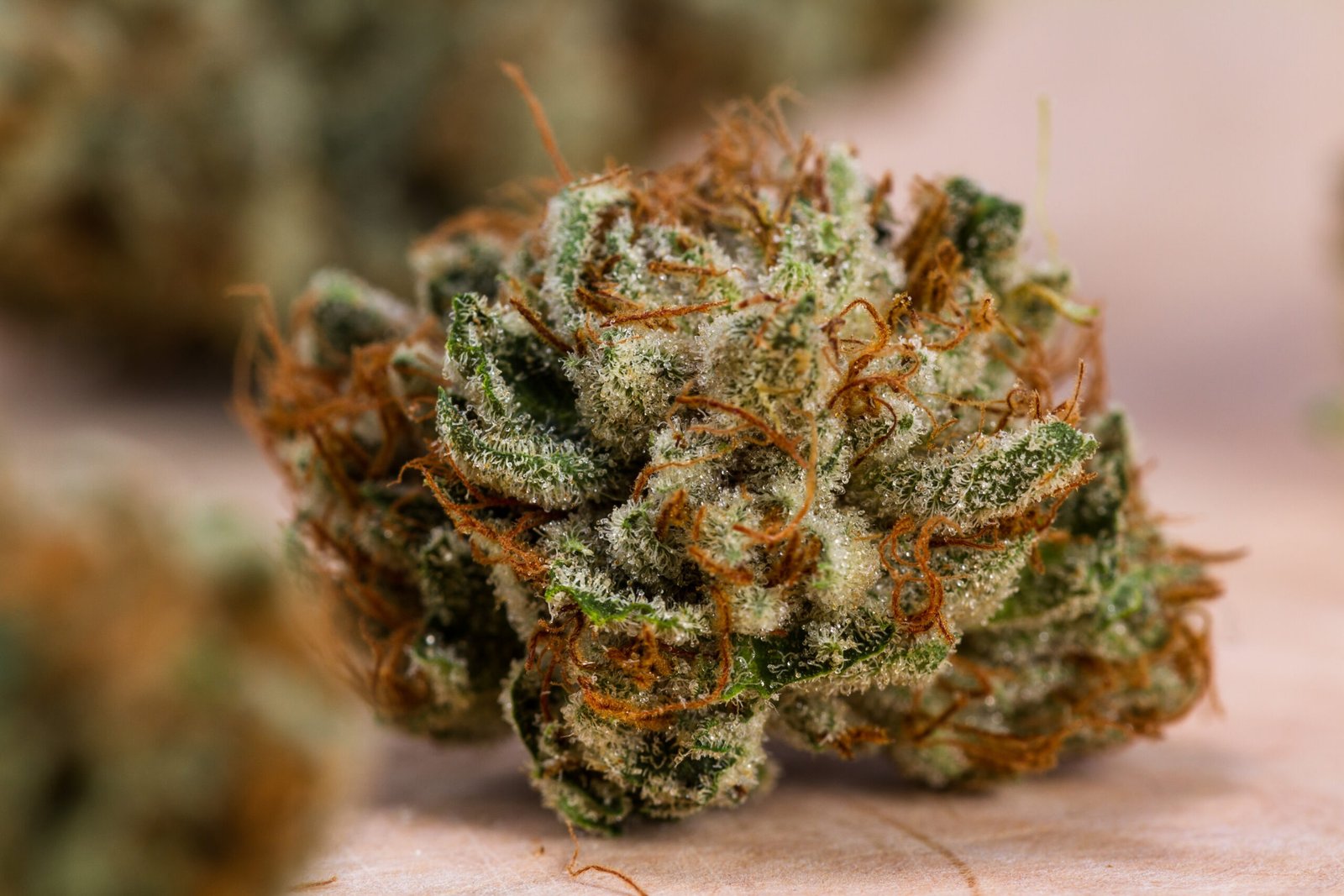 What are the most popular Sativa strains Canadians buy online?