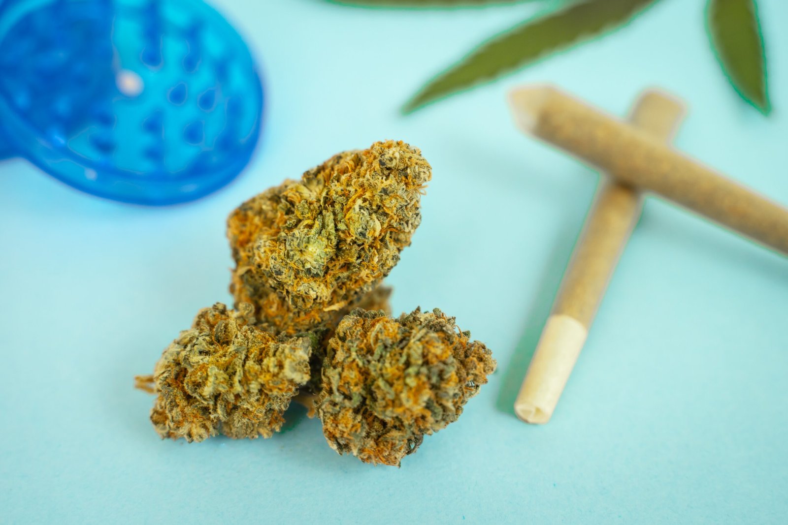 What Is the Strongest Indica You Can Buy in Ottawa Right Now?