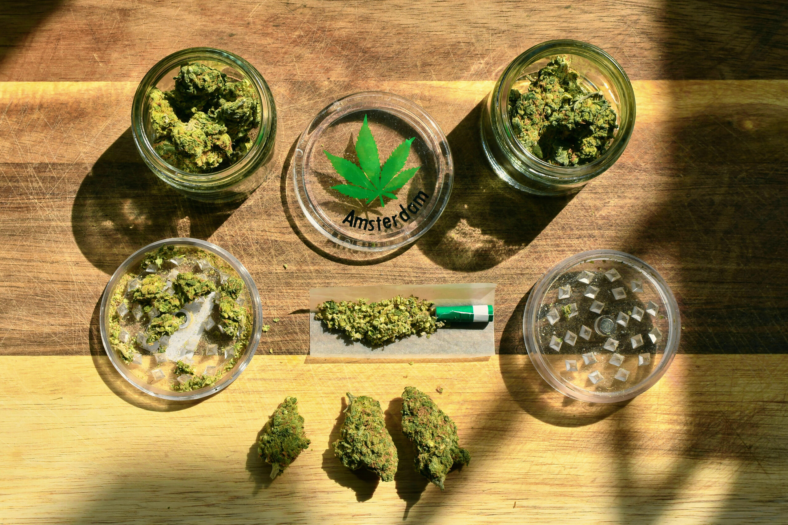 What’s the Best Place to Buy Sativa Online in Canada? Trusted Tips Before You Order