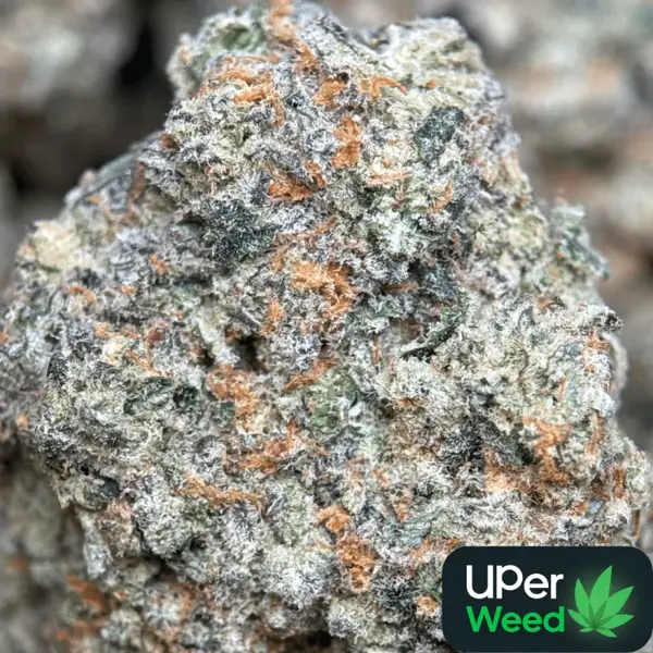Banana OG