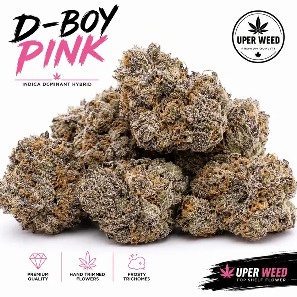 D-Boy Pink