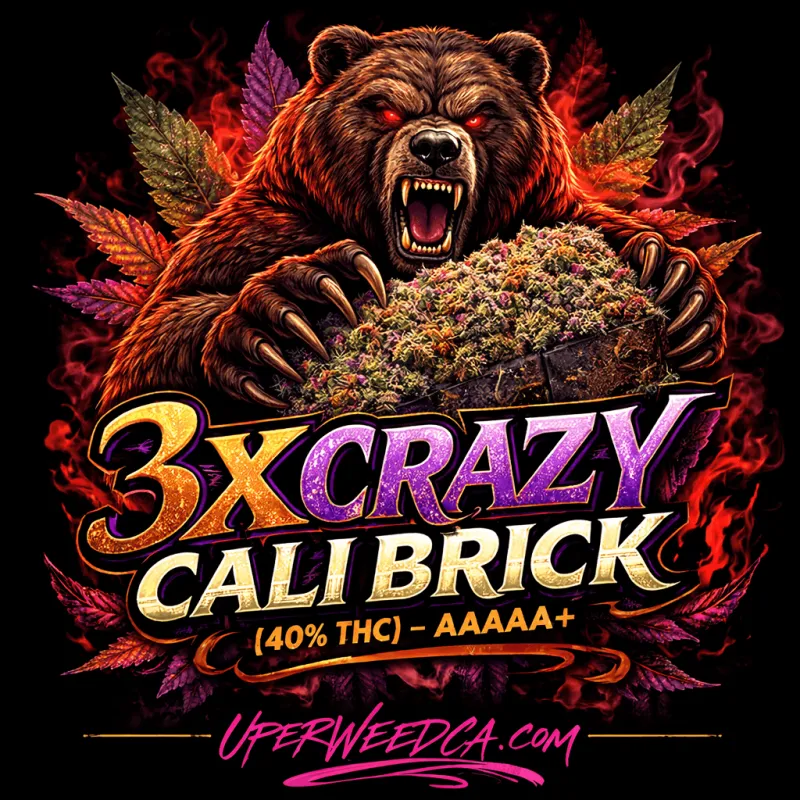 3X Crazy - Cali Brick