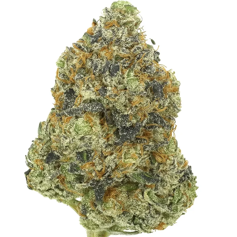 Iron Mike Indica – Cali Bricks