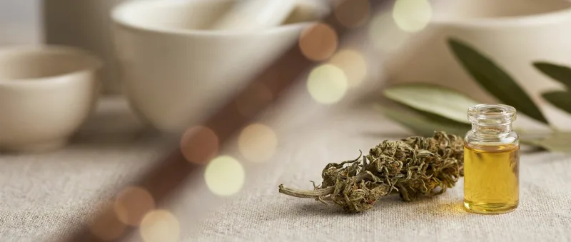 CBD and More: UperWeed vs Cannabis and CBD Store Ottawa