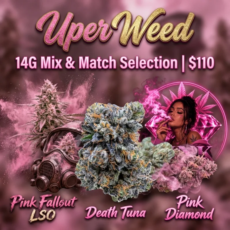 Best Bud Bonfire | 4G Mix & Match $110