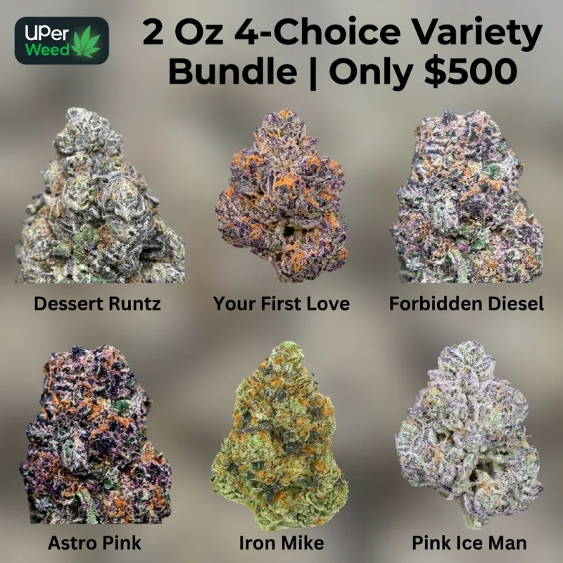 Hot Bud Jackpot | 2 OZ for $500
