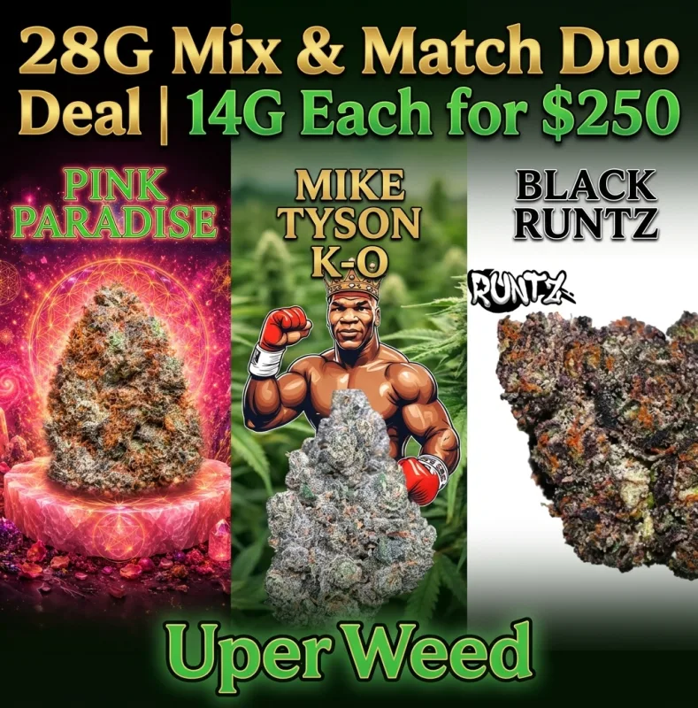 Supreme Rock & Buds 28G for only $250