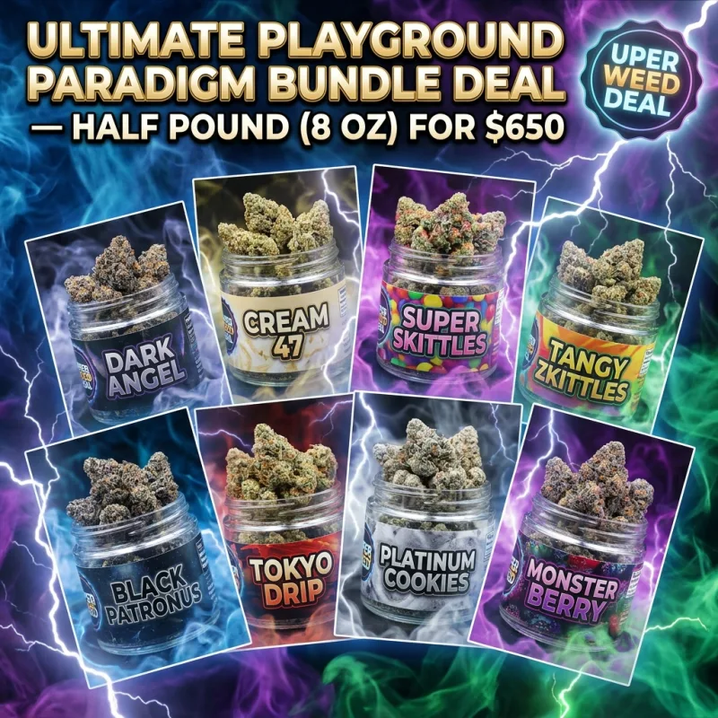 Ultimate Playground Paradigm Bundle Deal — Half Pound (8 Oz)
