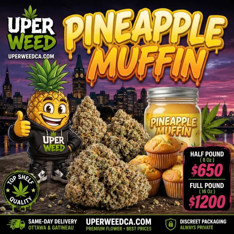 Pineapple Muffin