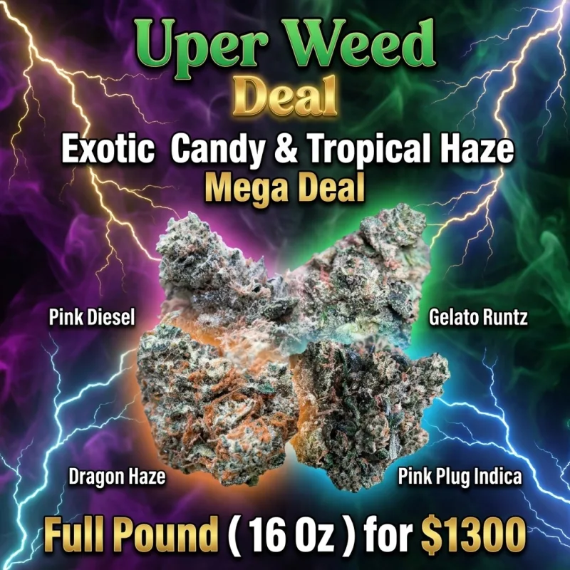 Exotic Candy & Tropical Haze Mega Deal – Full Pound ( 16 Oz ) for $1300