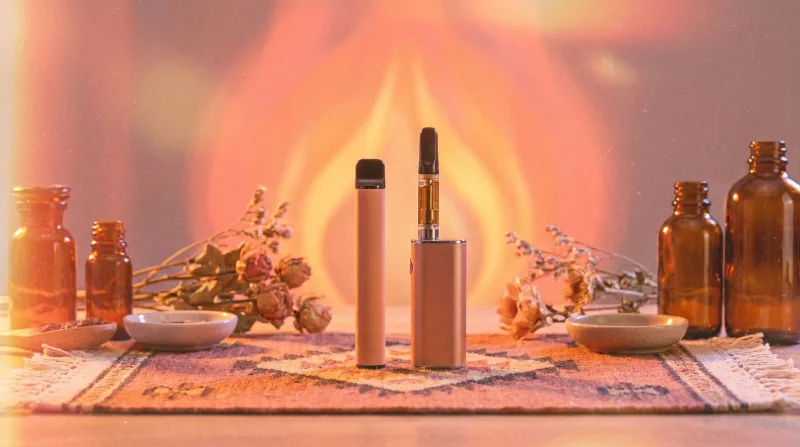 Disposable Vape vs. Cartridge: Which One Is Actually Better Value?