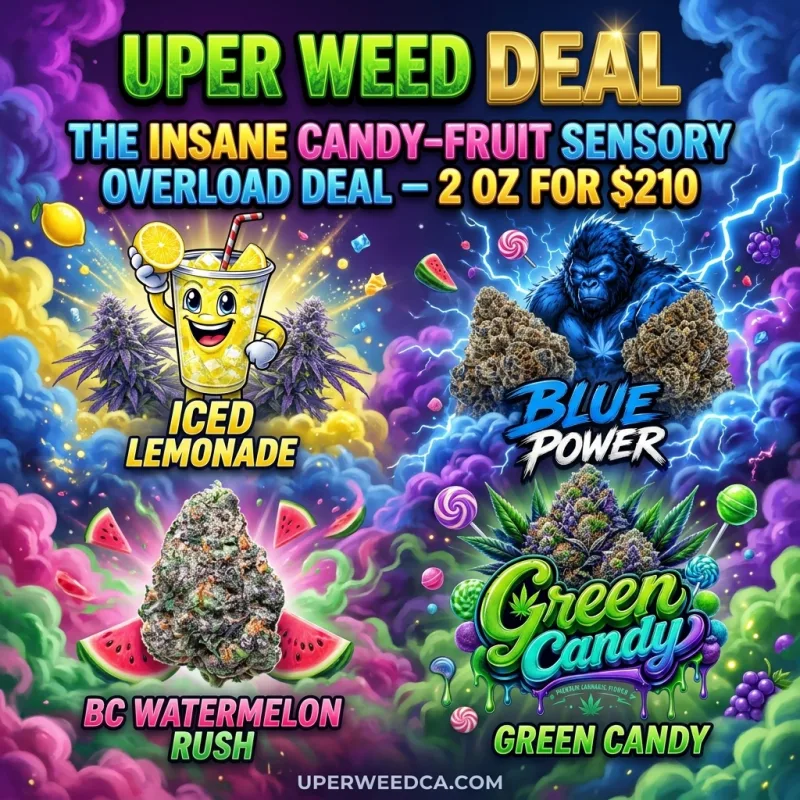 The Insane Candy-Fruit Sensory Overload Deal – 2 Oz for $210