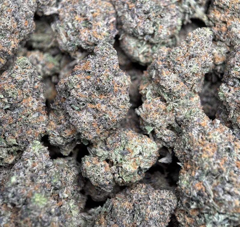 Alien Blackout photo 14