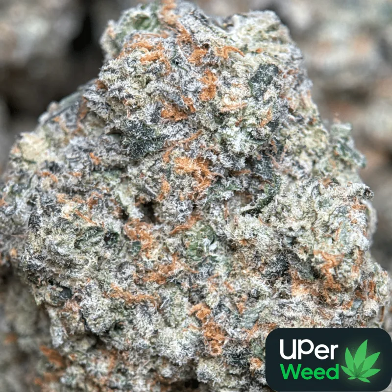 Banana OG