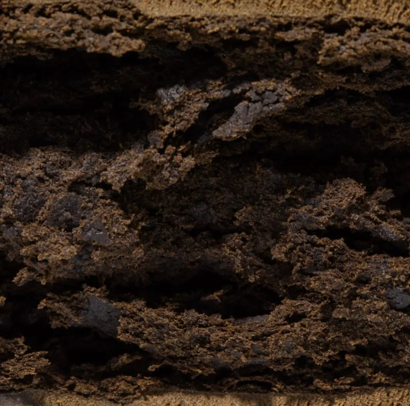 Banana OG Kush Hash - Wholesale photo 2