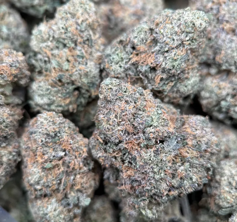 BC Alien Cream Cake photo 4