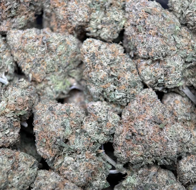 BC Alien Cream Cake photo 5