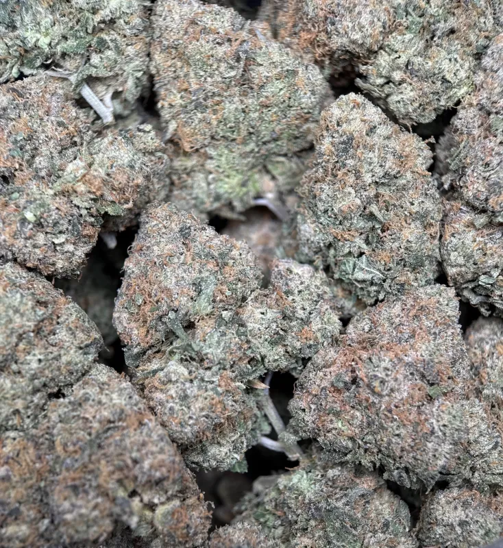 BC Alien Cream Cake photo 7