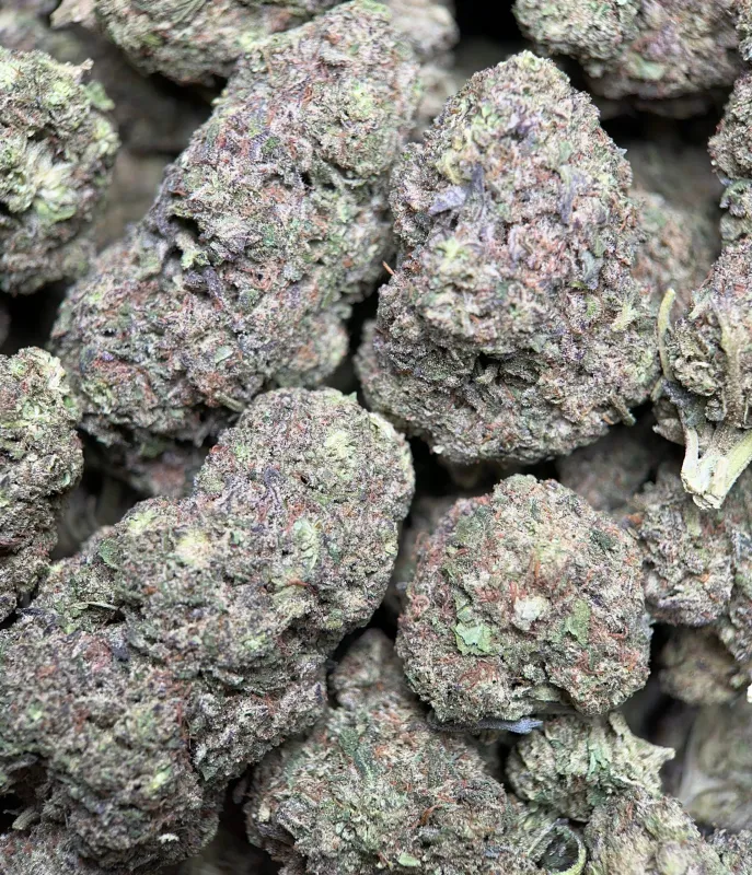 Big Baby Bud photo 2