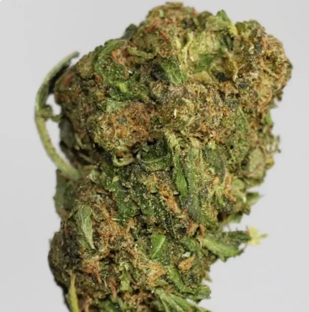 Black D.O.G - 4oz Bulk Deal For $200