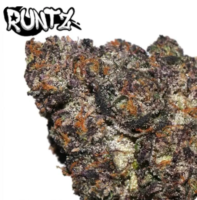 Black Runtz