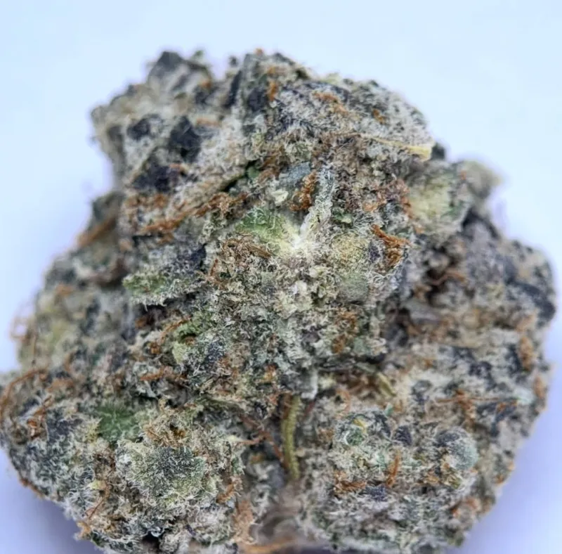 Blackberry Kush Marijuana Strain photo 4