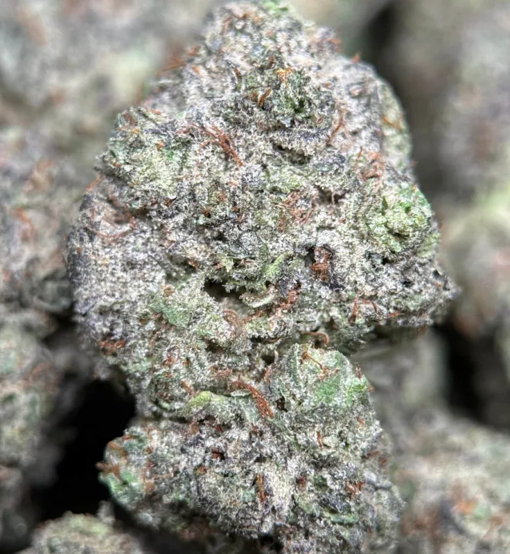 Blue Diesel photo 4
