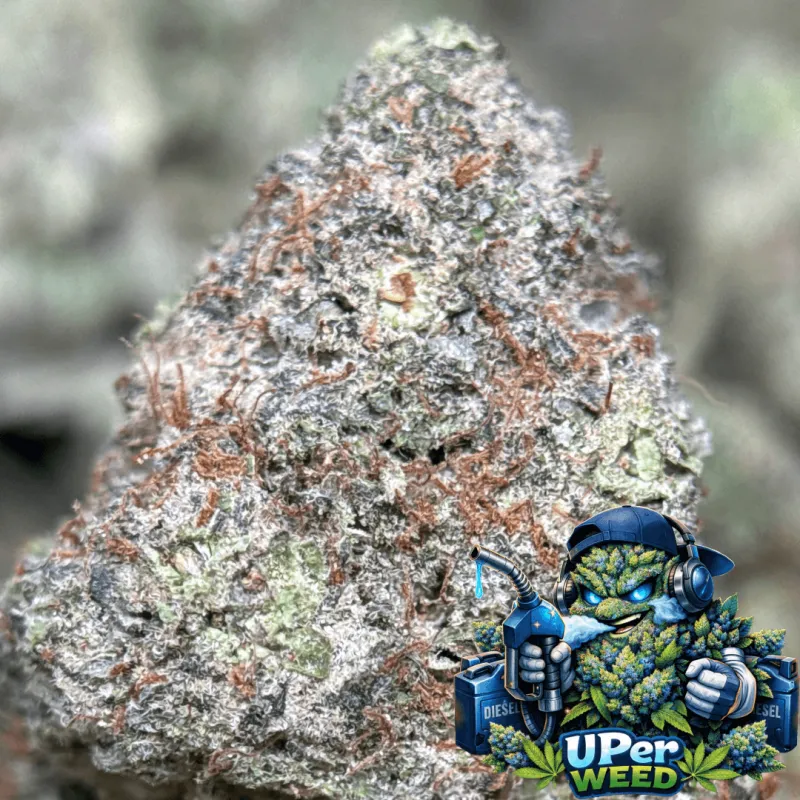 Blue Diesel photo 6