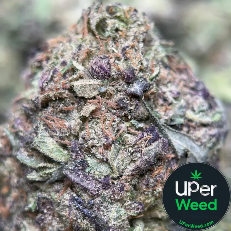 Blue Runtz - Indica-Dominant Hybrid (THC 31.88%) | UPer Weed Ottawa & Gatineau