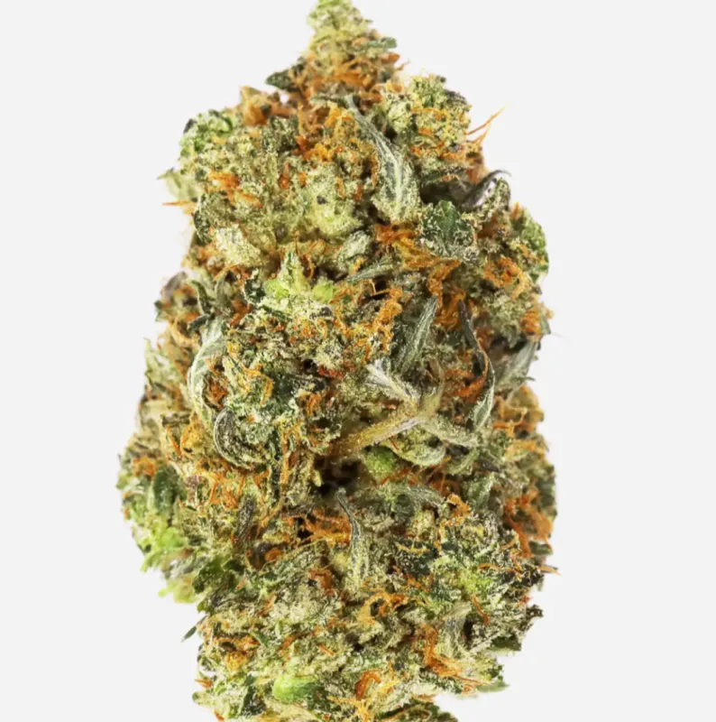 Blueberry Kush Indica