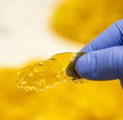Cereal Milk Shatter photo 2