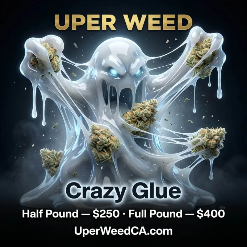 Crazy Glue photo 2