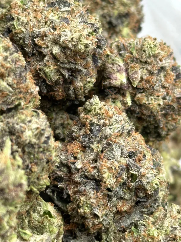 Death Row OG photo 4