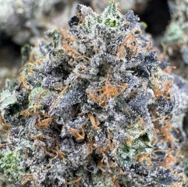 Death Tuna (Cali Bricks) photo 2