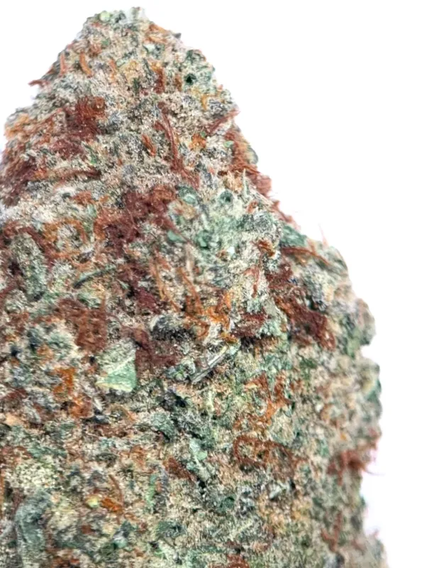 Death Walker OG photo 3