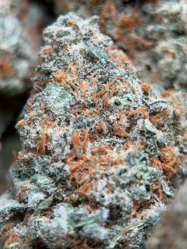 Dragon Haze photo 4