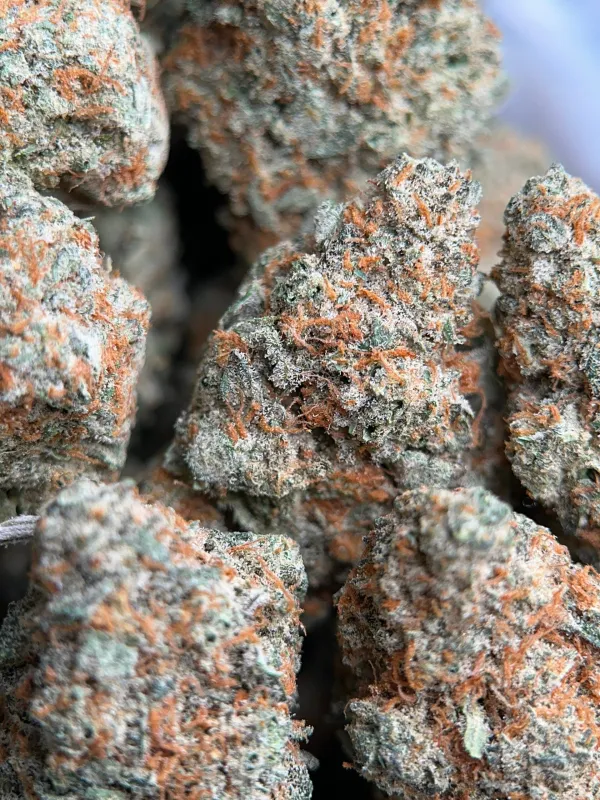 Dragon Haze photo 5