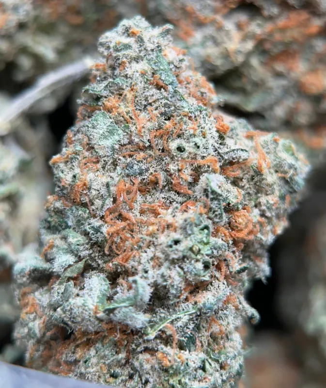 Dragon Haze photo 7