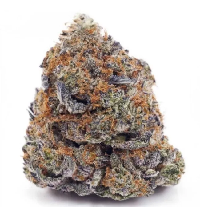 Gastro Pop - 2oz Bulk Deal For $200